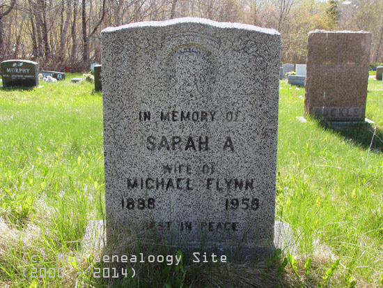 Sarah A. Flynn