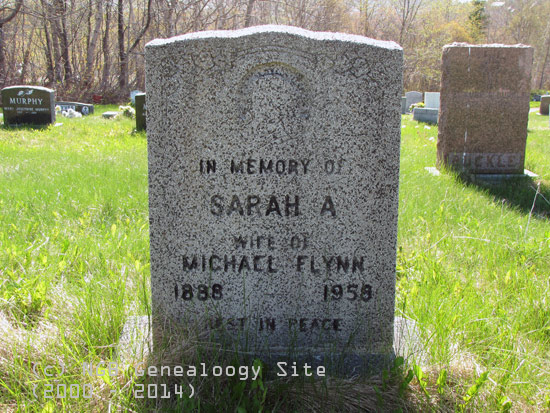 Sarah A. Flynn