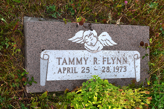 Tammy R. Flynn