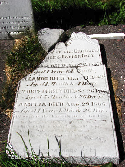 ELEANOR, GEORGE AND AMELIA FOOTE