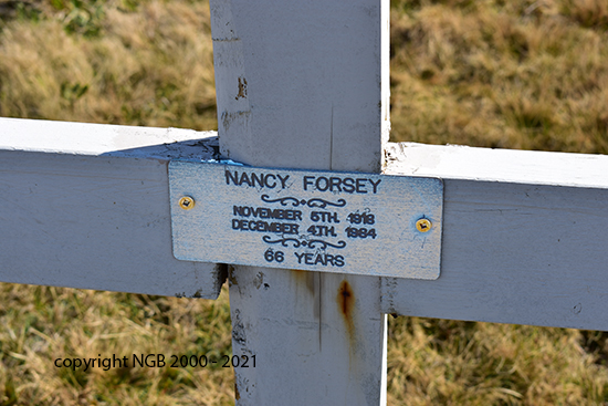 nancy Forsey