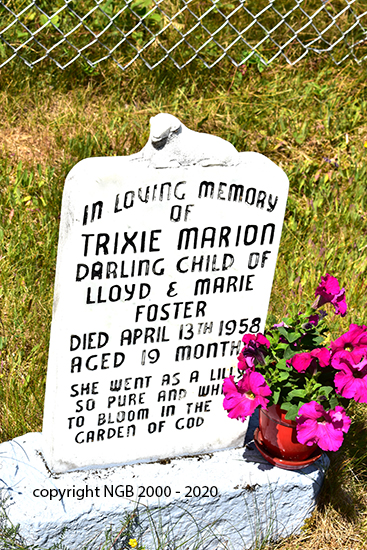Trixie Marion Foster