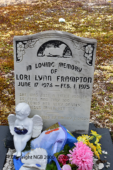 Lori Lynn Frampton
