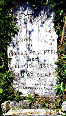 Tom Frampton