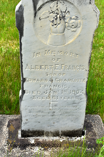 Albert E. Francis