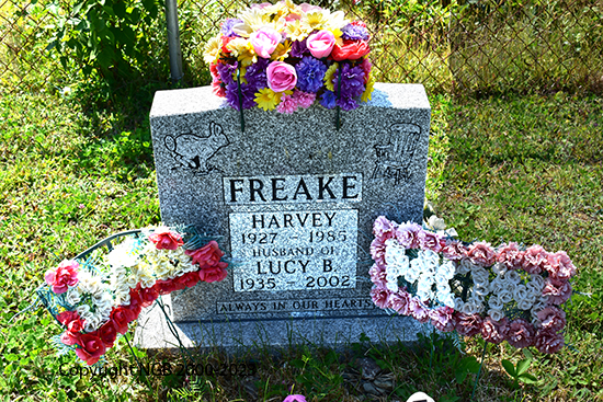 Harvey & Lucy Freake