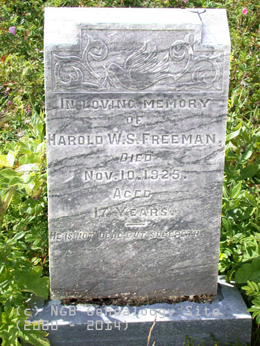 Harold W. S.  Freeman