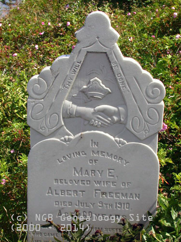 Mary E. Freeman