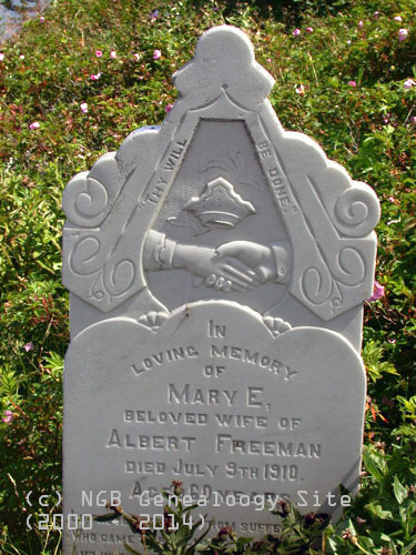 Mary E. Freeman