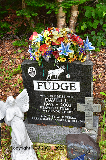 David L. Fudge
