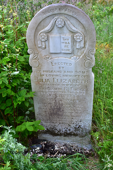 Julia Elizabeth Fudge
