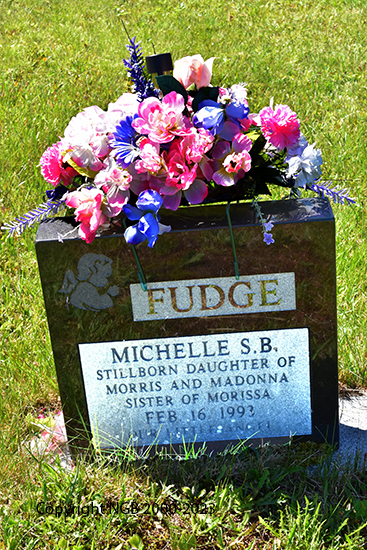 Michelle S. B. Fudgee