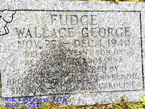 Wallace George Fudge