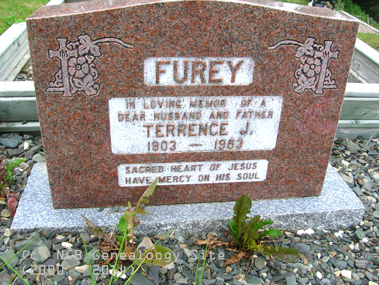 Terrence Furey