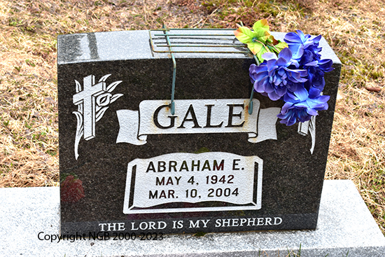 Abraham E.Gale