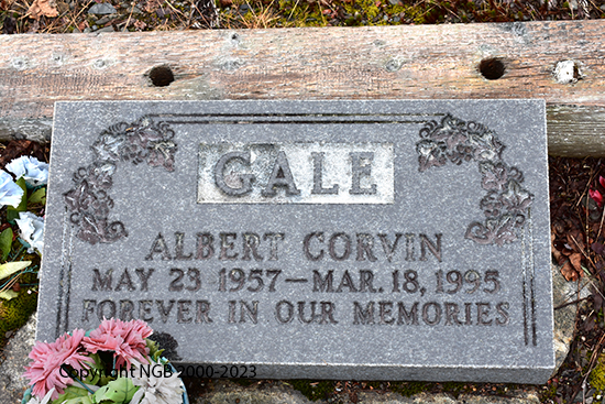 Albert Corvin Gale