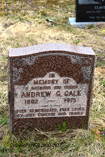 Andrew G. Gale