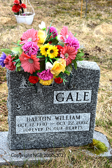 Dalton William Gale