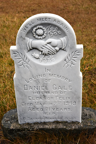 Daniel Gale