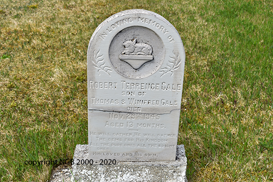 Robert Terrence Gale