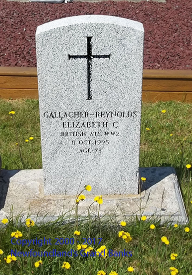 Elizabeth C.  Gallagher-Reynolds