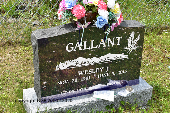 Wesley J. 
          gallant