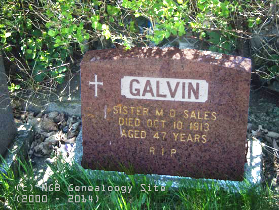 Sr. M. D. Sales Galvin