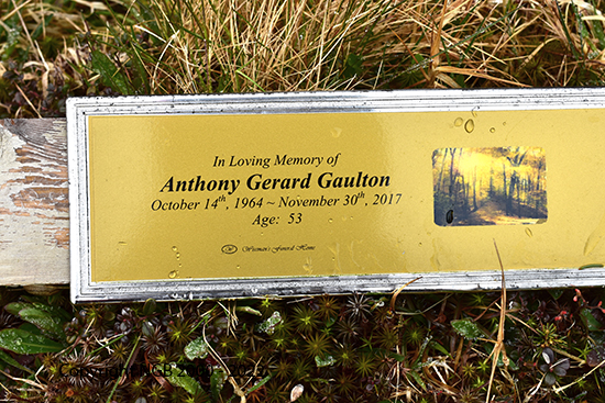 Anthony Gerard Gaulton