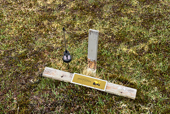 Anthony Gerard Gaulton