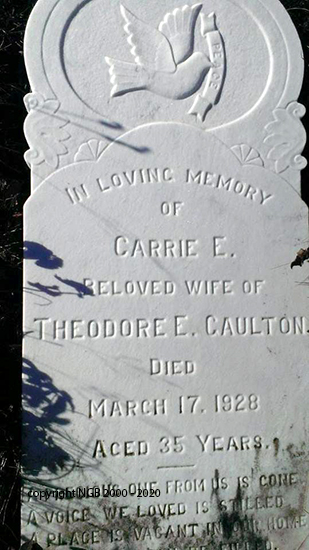 Carrie E. Gaulton