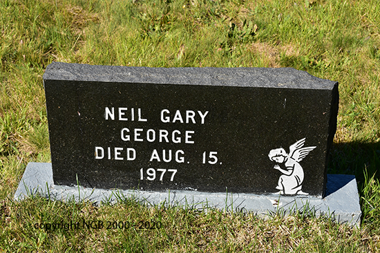 Neil Gary Geroge 