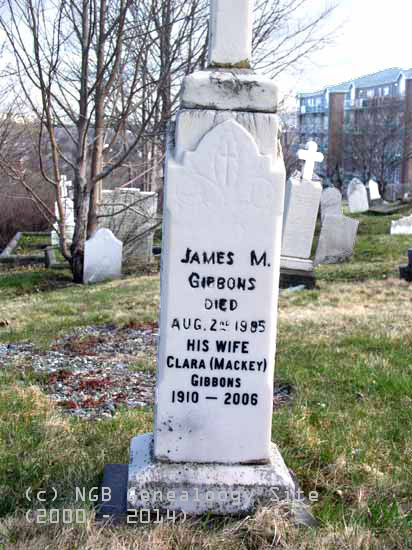 
	   James and Clara Gibbons