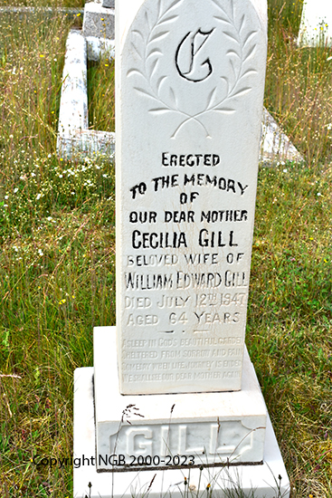 Cecilia Gill