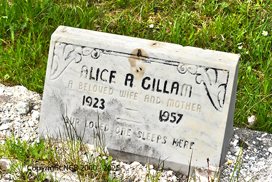 Alice A. Gillam