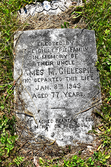 James M. Gillespie