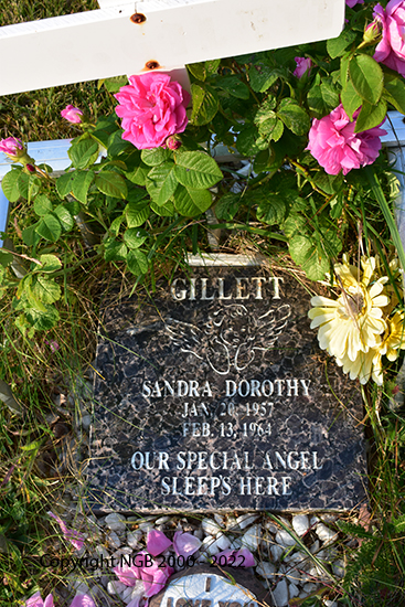 Sandra Dorothy Gillett
