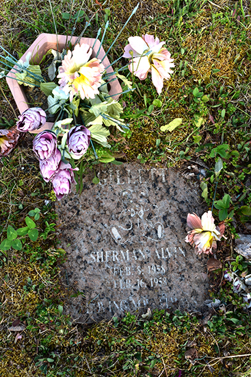 Sherman Alvin Gillett