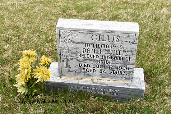 Dan H. Gillis