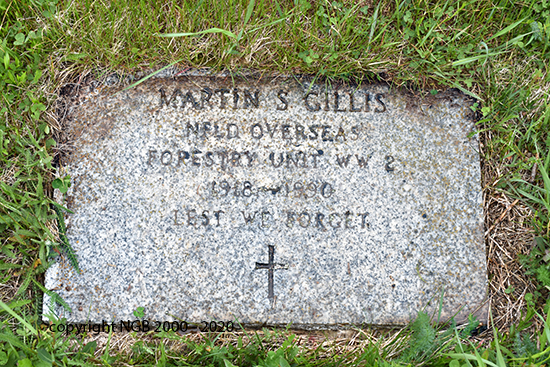 Martin S. Gillis