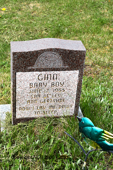 Baby Boy Ginn