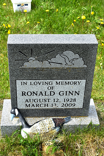 Ronald Ginn