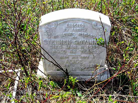 Stephen and Alice Gionannini