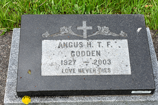 Angus H. T. F. Godden