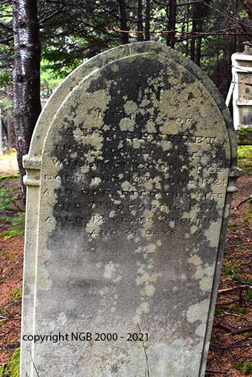 Unknown Godridge (?)