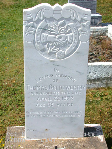 Thomas Goldsworthy