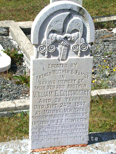 William E. Goldsworthy