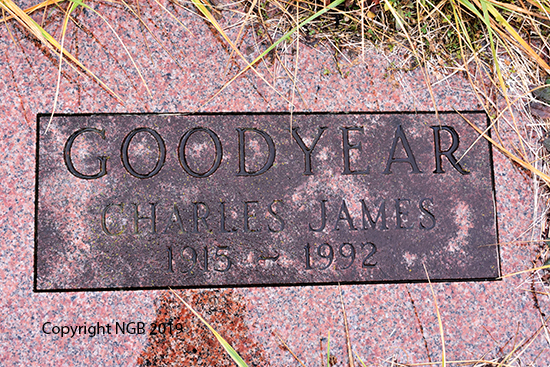 Charles James Goodyear