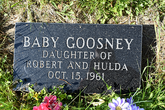 Baby Goosney
