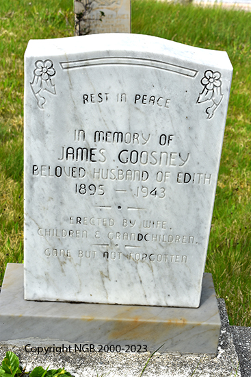 James Goosney
