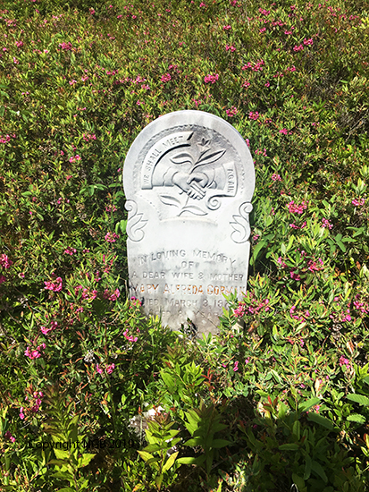 Mary  Alfreda Gorman